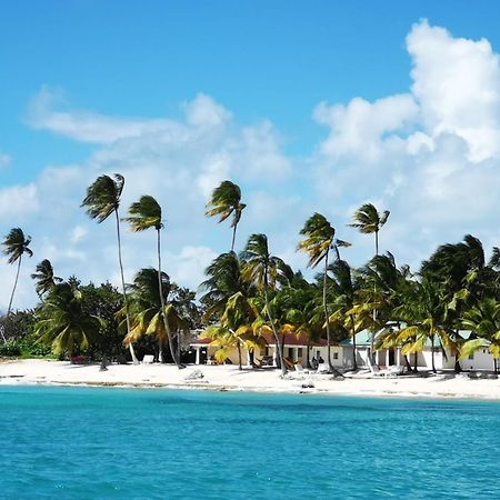 Saona Beach House - Bed And Breakfast Mano Juan Exteriör bild
