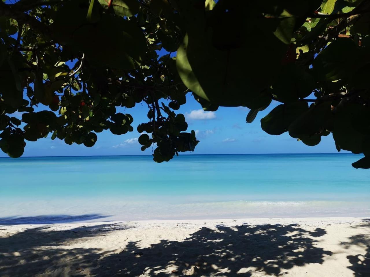 Saona Beach House - Bed And Breakfast Mano Juan Exteriör bild