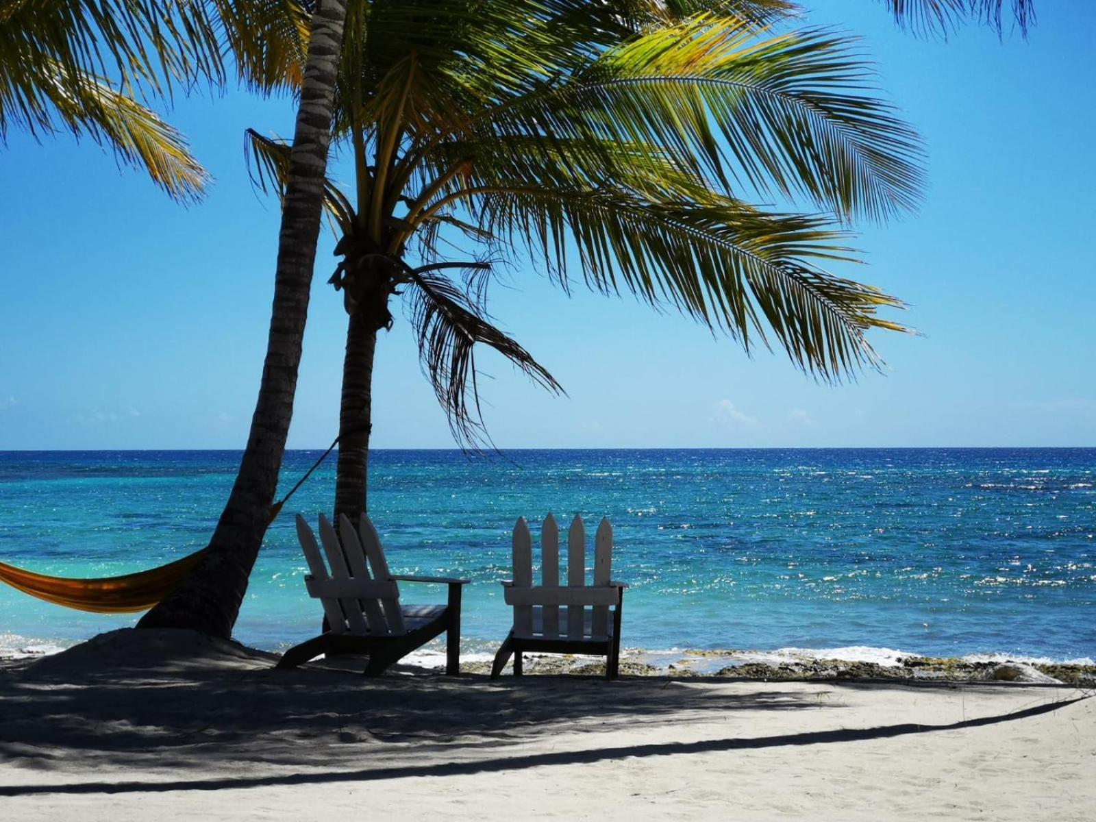Saona Beach House - Bed And Breakfast Mano Juan Exteriör bild