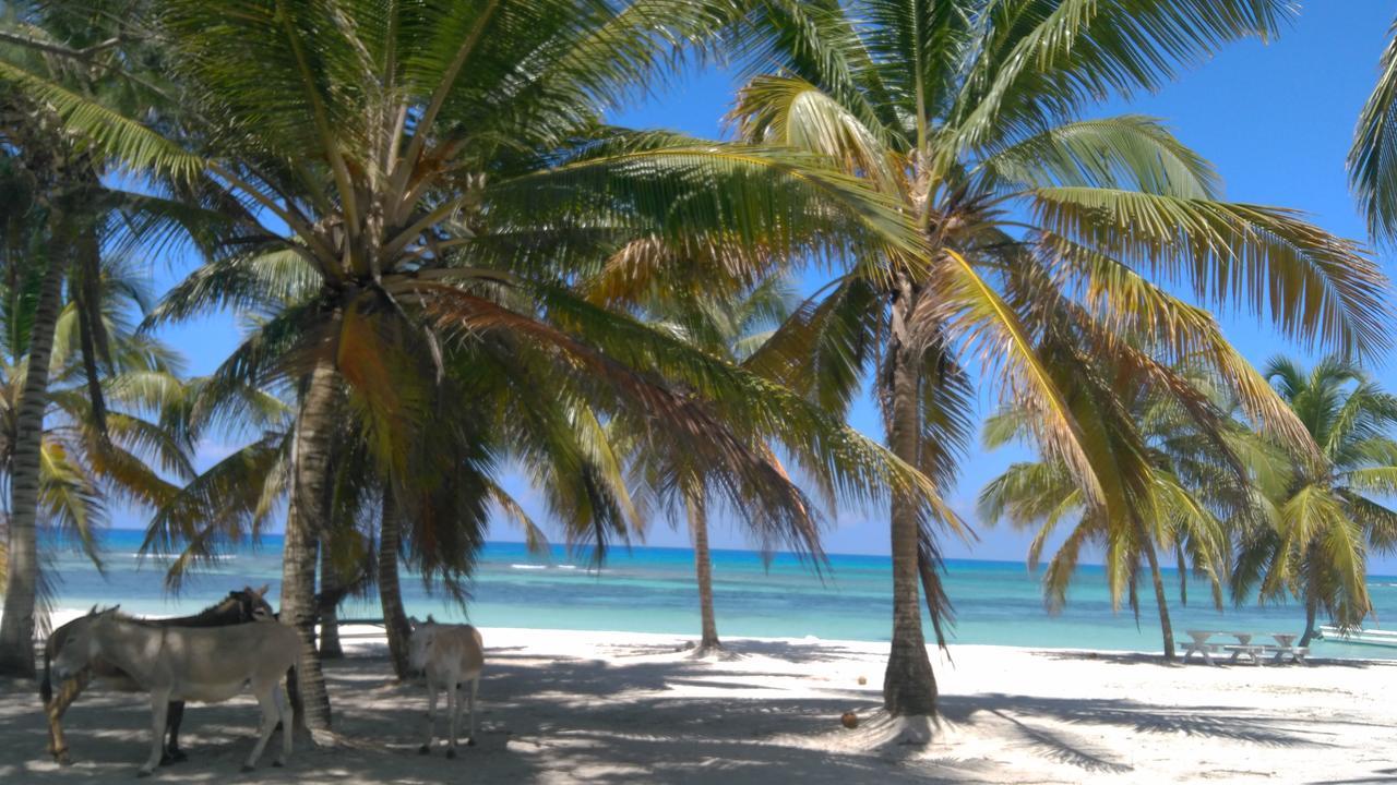 Saona Beach House - Bed And Breakfast Mano Juan Exteriör bild